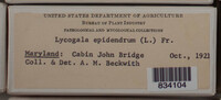 Image Associated With the Occurence